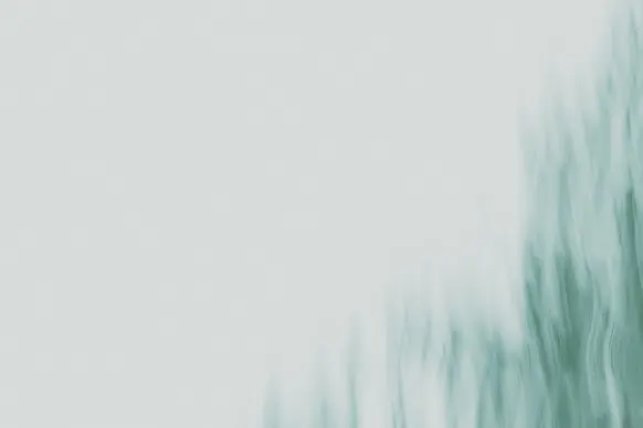 카지노 와일드 토네이도 지원